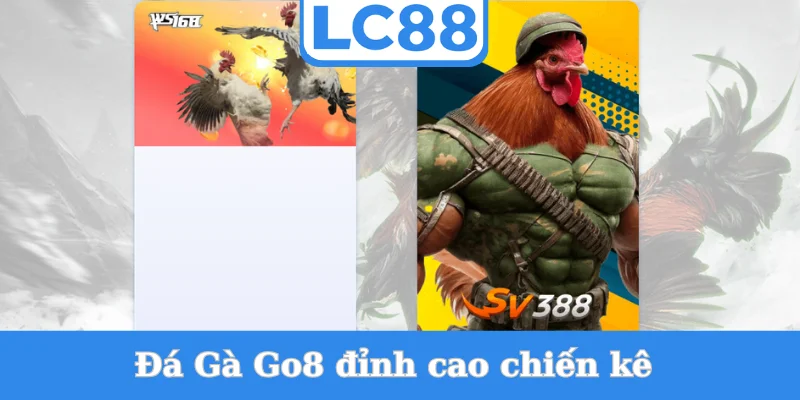 Da-Ga-Go8-dinh-cao-chien-ke