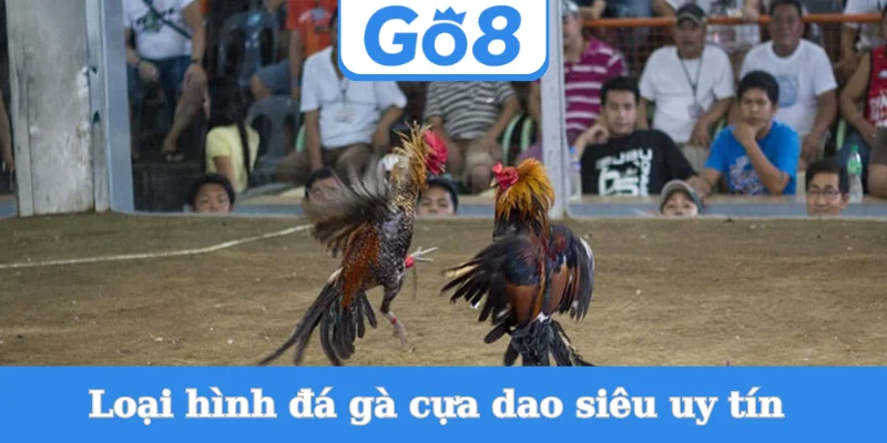 Loai-hinh-da-ga-cua-dao-sieu-uy-tin