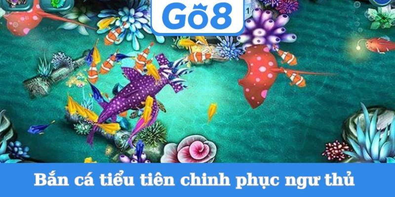 ban-ca-tieu-tien-chinh-phuc-ngu-thu