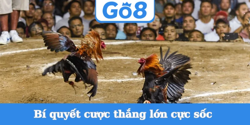 bi-quyet-cuoc-thang-lon-cuc-soc