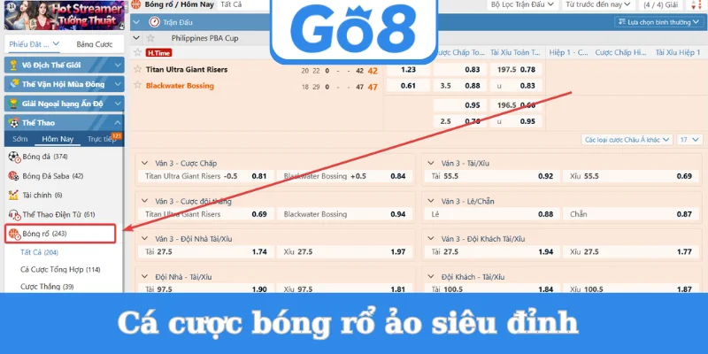 ca-cuoc-bong-ro-ao-sieu-dinh