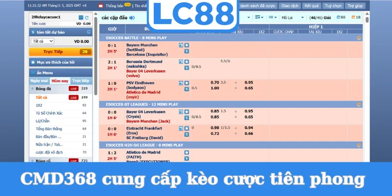 cmd368-cung-cap-keo-cuoc-tien-phong