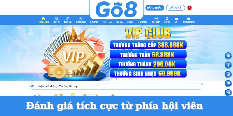 danh-gia-tich-cuc-tu-phia-hoi-vien