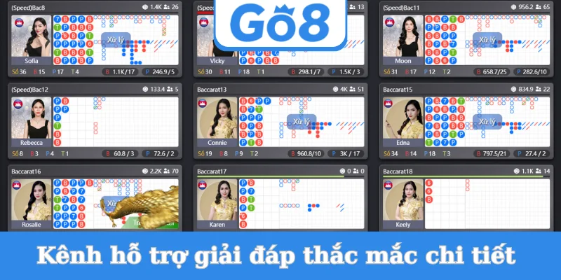 kenh-ho-tro-giai-dap-thac-mac-chi-tiet