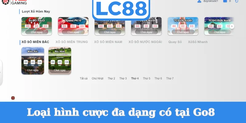 loai-hinh-cuoc-da-dang-co-tai-go8