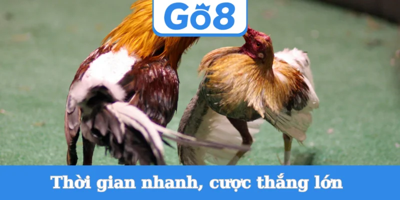 thoi-gian-nhanh-cuoc-thang-lon