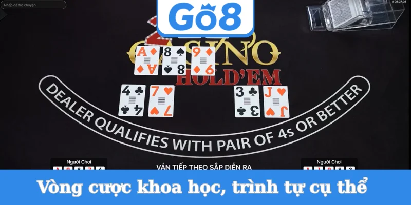 vong-cuoc-khoa-hoc-trinh-tu-cu-the