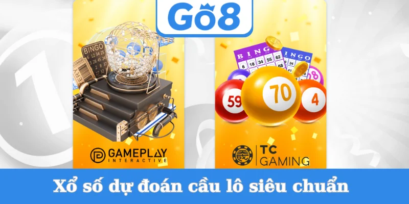 xo-so-du-doan-cau-lo-sieu-chuan